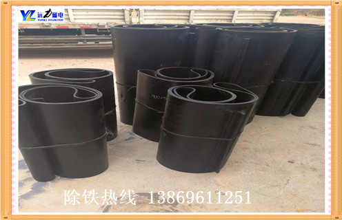 江苏自卸式草莓视频在线视频离皮带高度