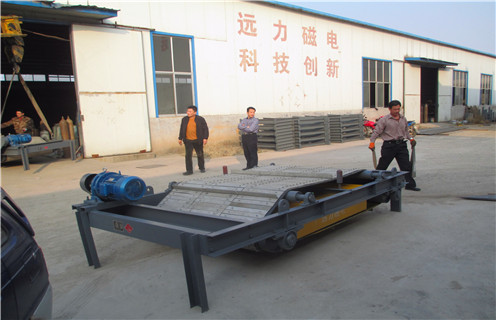 贵州自卸式永磁草莓视频在线视频厂家