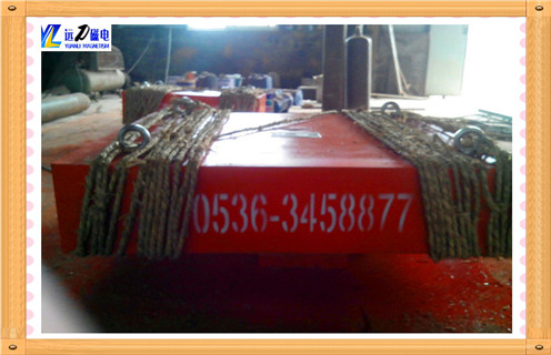 沈阳板式永磁草莓视频在线视频厂家