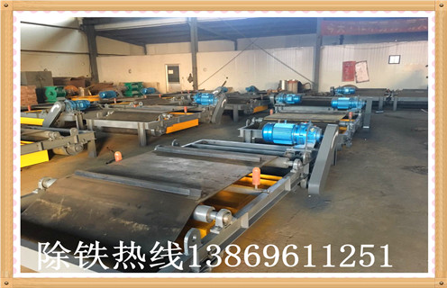 rcyd系列悬挂自卸式永磁草莓视频在线视频