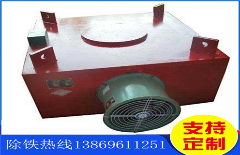 电磁草莓视频在线视频,带式电磁草莓视频在线视频,风冷带式电磁草莓视频在线视频工作原理