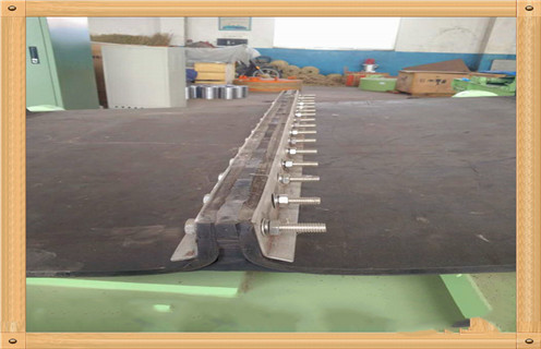 草莓视频在线视频皮带，临朐草莓视频在线视频皮带_临朐草莓视频在线视频皮带怎么调整皮带原因及如何调_刮板价格