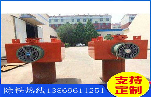 风冷电磁草莓视频在线视频，辽宁风冷电磁草莓视频在线视频原理_辽宁风冷电磁草莓视频在线视频原理参数工作原理_价格