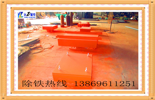 悬挂式永磁草莓视频在线视频，陕西悬挂式永磁草莓视频在线视频rcyb-8_内部磁块安装方法_陕西悬挂式永磁草莓视频在线视频rcyb-8标牌型号说明书型号视频定制供应型号价格